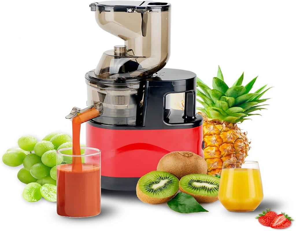 Cntronic Slow Juicer